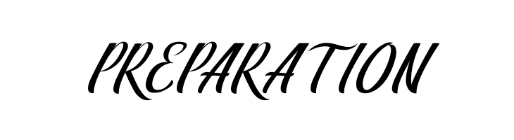 BerlinScript  Free Fonts Download