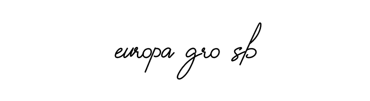 Housttely Signature  Free Fonts Download