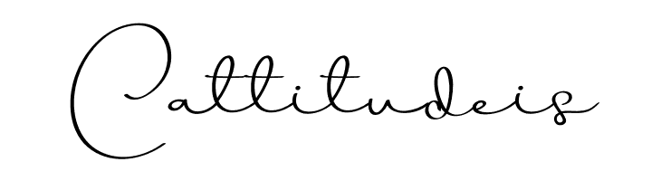 Beauty Dream  Free Fonts Download