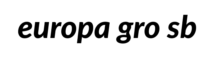 Lato Heavy Italic  Free Fonts Download