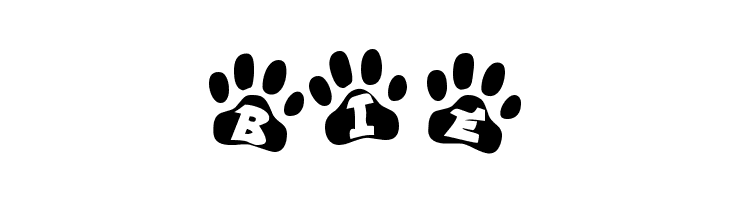 EnnobledPet-Regular  Free Fonts Download