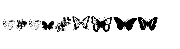 Butterflies by Darrian  Free Fonts Download