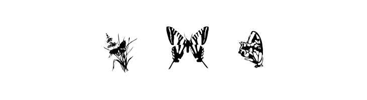 Butterflies by Darrian  Free Fonts Download