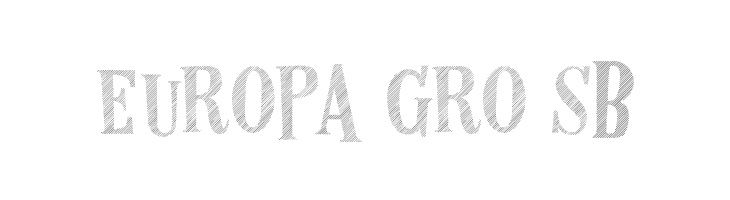 LesPaul-Lined  Free Fonts Download