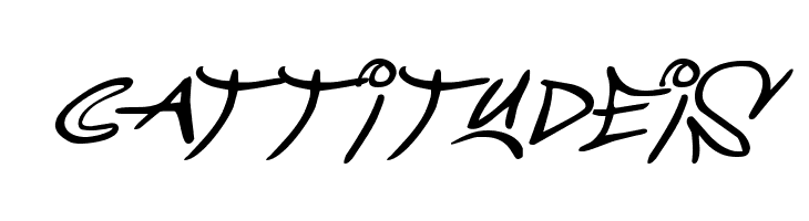 Graffiti Street Expanded Italic  Free Fonts Download