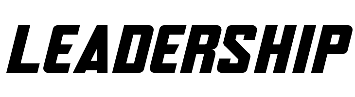 Avengero Disassembled Regular  Free Fonts Download