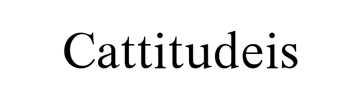 XSerif Unicode  Free Fonts Download