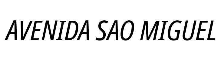 Noto Sans Display Condensed Italic  Free Fonts Download