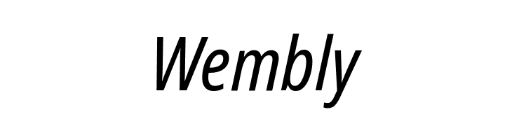 Noto Sans Display Condensed Italic  Free Fonts Download