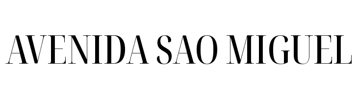 Noto Serif Display ExtraCondensed Medium  Free Fonts Download