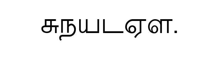 New Kannan Text  Free Fonts Download