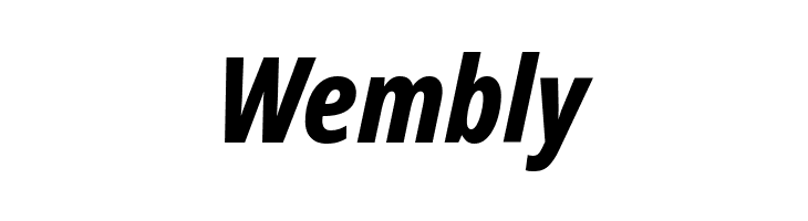 Noto Sans Display Condensed ExtraBold Italic  Free Fonts Download