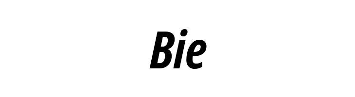 Noto Sans Display ExtraCondensed Bold Italic  Free Fonts Download