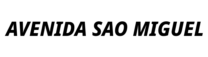 Noto Sans Display ExtraBold Italic  Free Fonts Download