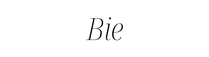 Noto Serif Display SemiCondensed ExtraLight Italic  Free Fonts Download