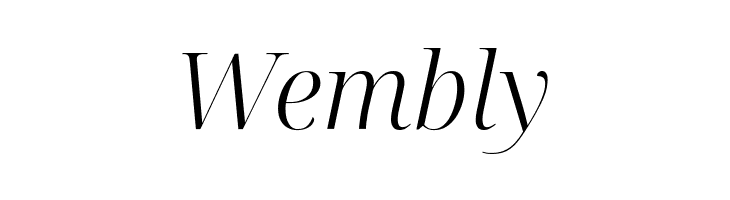 Noto Serif Display Light Italic  Free Fonts Download