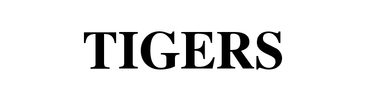 Tempora LGC Unicode Bold  Free Fonts Download