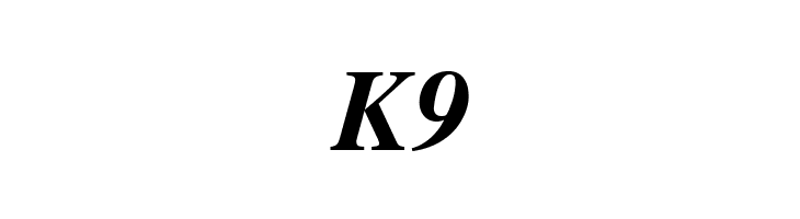 K9 Tempora LGC Unicode Bold Italic Font