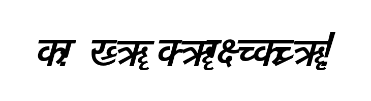 DV-TTYogeshEN BoldItalic  Free Fonts Download