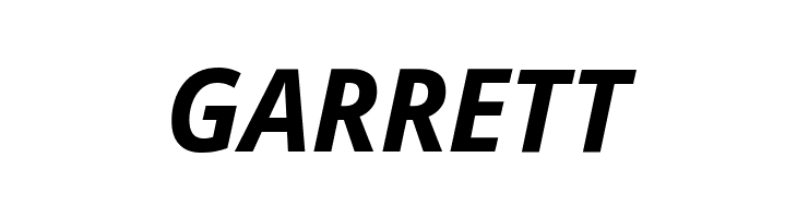 Noto Sans Display Bold Italic  Free Fonts Download