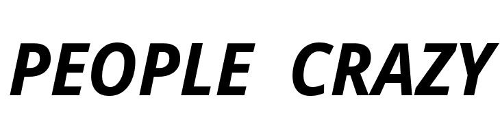 Noto Sans Display Bold Italic  Free Fonts Download