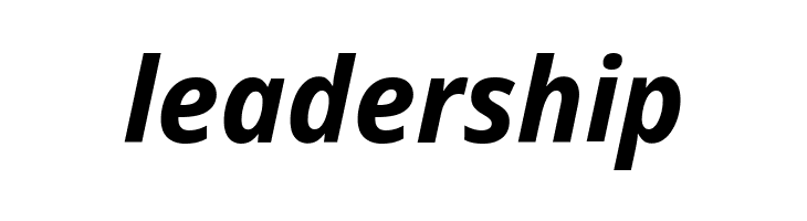 Noto Sans Display Bold Italic  Free Fonts Download