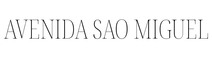 Noto Serif Display ExtraCondensed Thin  Free Fonts Download