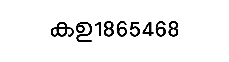 ML-TTKarthika Normal  Free Fonts Download