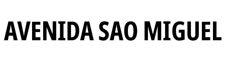 Noto Sans Display ExtraCondensed Bold  Free Fonts Download