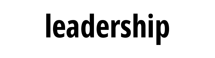 Noto Sans Display ExtraCondensed Bold  Free Fonts Download