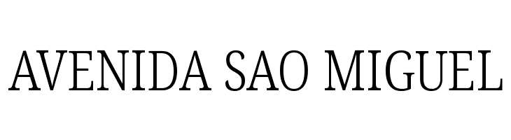 Noto Serif Condensed Light  Free Fonts Download