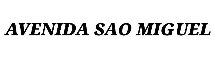 Noto Serif Black Italic  Free Fonts Download