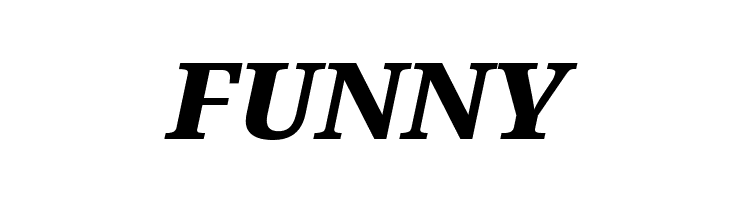 Noto Serif Black Italic  Free Fonts Download