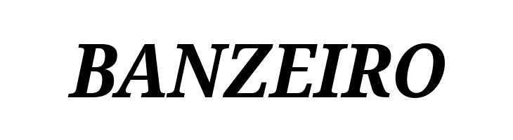 Noto Serif SemiCondensed Bold Italic  Free Fonts Download