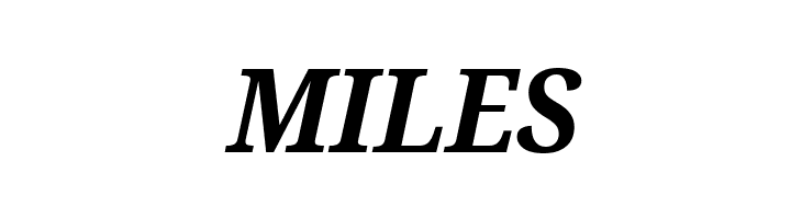 Noto Serif SemiCondensed Bold Italic  Free Fonts Download