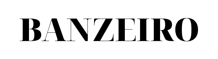 Noto Serif Display Black  Free Fonts Download