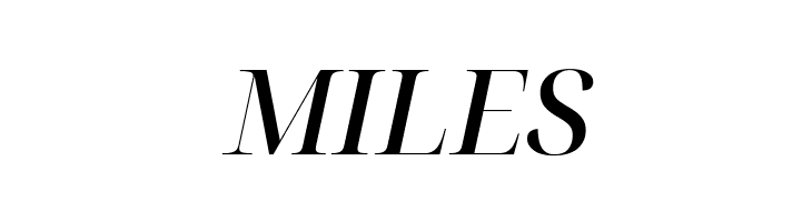 Noto Serif Display Medium Italic  Free Fonts Download