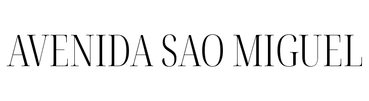 Noto Serif Display ExtraCondensed Light  Free Fonts Download