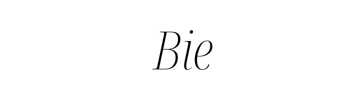 Noto Serif Display Condensed ExtraLight Italic  Free Fonts Download