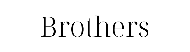 Noto Serif Display Light  Free Fonts Download