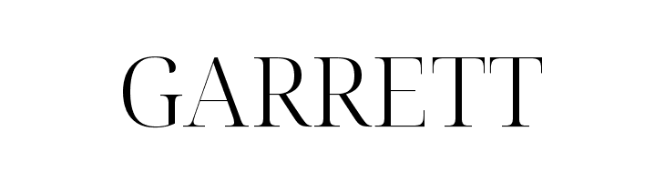 Noto Serif Display Light  Free Fonts Download