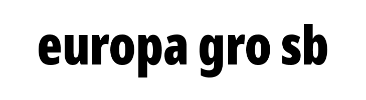 Noto Sans Display ExtraCondensed Black  Free Fonts Download