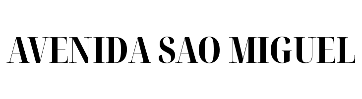 Noto Serif Display ExtraCondensed ExtraBold  Free Fonts Download