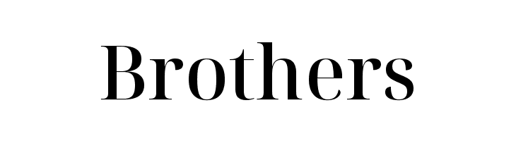 Noto Serif Display Medium  Free Fonts Download