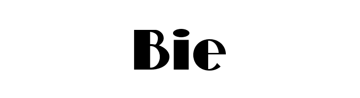 Standing Room Only NF  Free Fonts Download