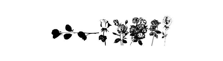 Buds and Blossoms  Free Fonts Download