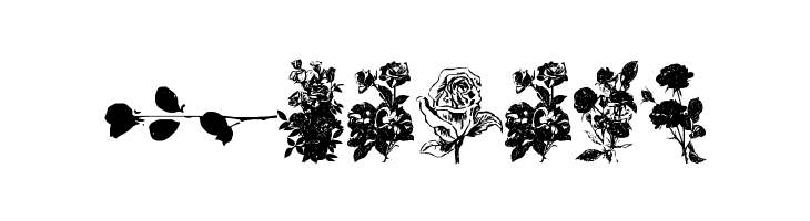 Buds and Blossoms  Free Fonts Download