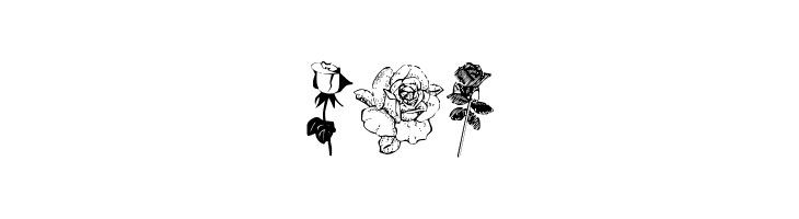 Buds and Blossoms  Free Fonts Download