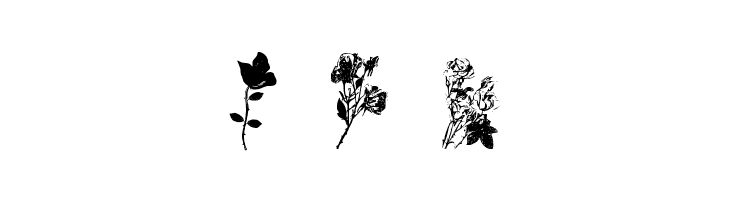 Buds and Blossoms  Free Fonts Download