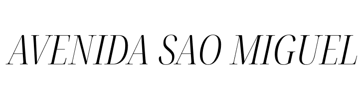 Noto Serif Display ExtraCondensed Light Italic  Free Fonts Download